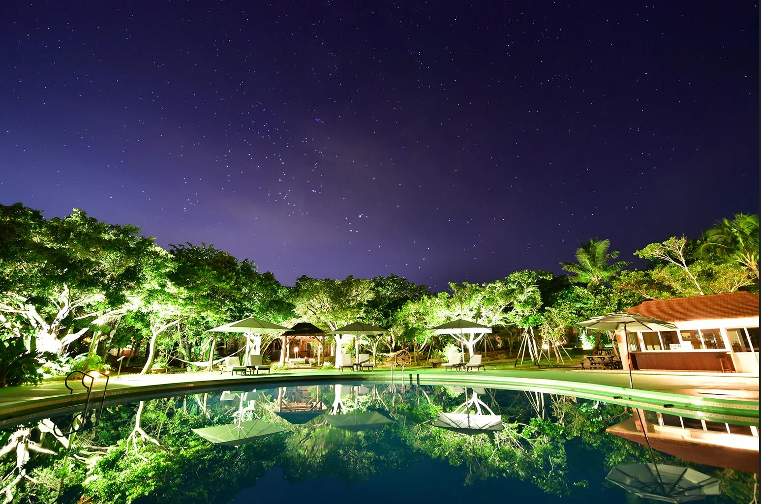 星空の下、ライトアップされた木々に囲まれた屋外プールが幻想的な夜景を演出