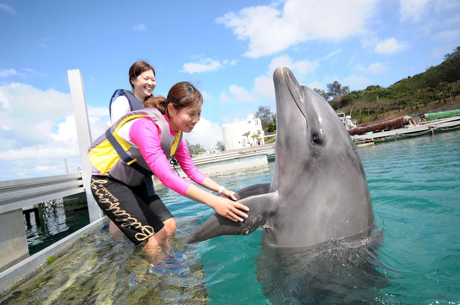 青い空の下、ライフジャケットを着用した2人の女性が、水中でイルカと触れ合って楽しんでいる様子