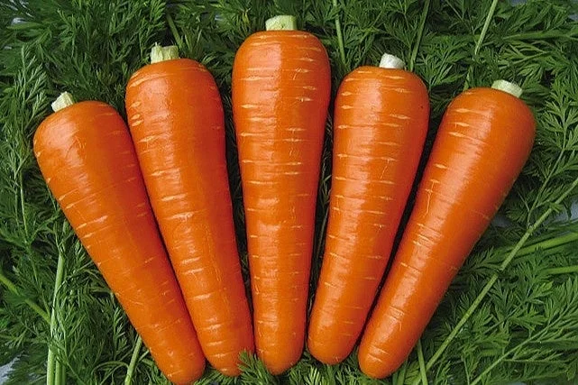 にんじんの束