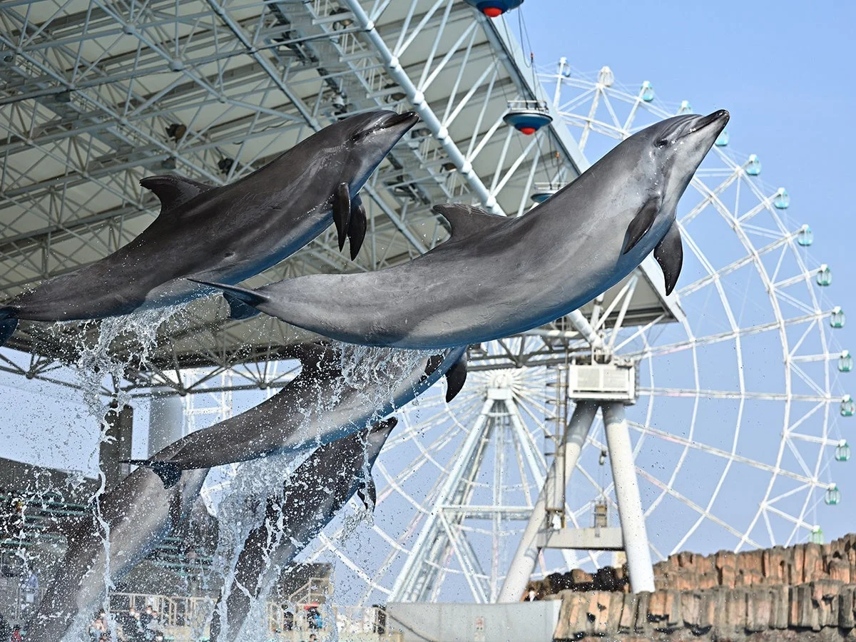 名古屋港水族館