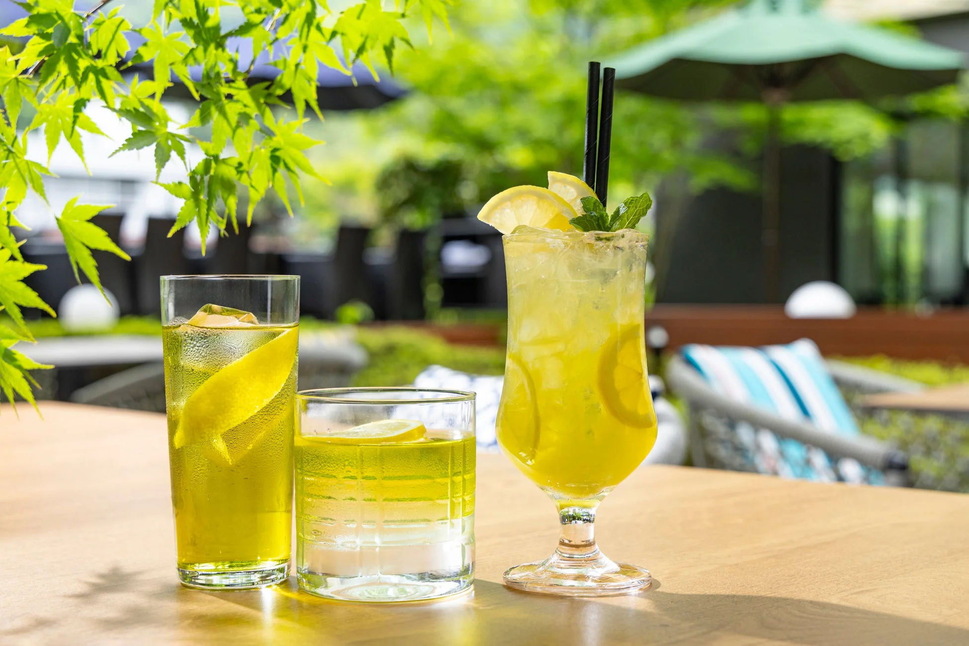 抹茶コレクション「Bold Matcha Cocktails」